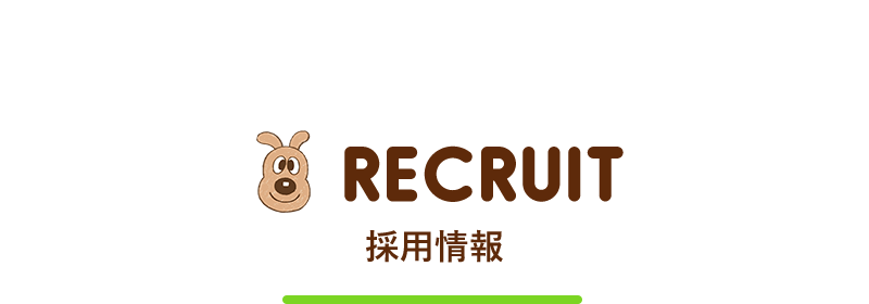 採用情報